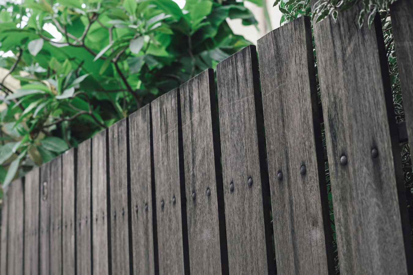 Fence replacement in Eagle Pass, TX
